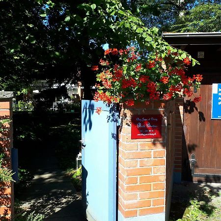 Chez Jean Et Daisy Panzió Riehen Kültér fotó