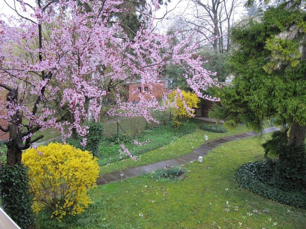 Chez Jean Et Daisy Panzió Riehen Kültér fotó